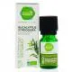 PHARMASCIENCE Huile essentielle d'Eucalyptus citriodora bio flacon 10 ml - Illustration n&deg;2