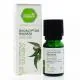 PHARMASCIENCE Huile essentielle d'Eucalyptus radiata bio flacon 10 ml - Illustration n&deg;2
