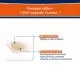 URGO Pansements ampoule extrême grand format x10 - Illustration n°2