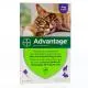 BAYER Advantage 80mg chat/lapin pipette 0.8ml x 6 - Illustration n&deg;1