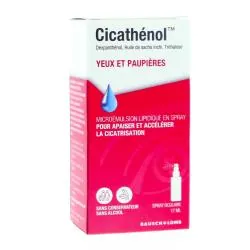 CICATHENOL Microémulson liquide en spray Yeux et paupières Flacon 17ml