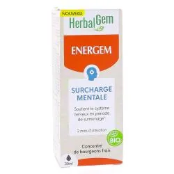 HERBALGEM Concentré de bourgeons frais - Energem Surcharge Mentale bio 30ml