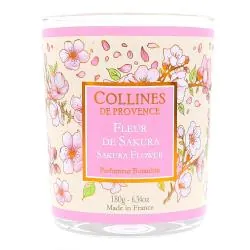 COLLINES DE PROVENCE Bougie parfumée Fleur de Sakura 180g