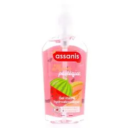 ASSANIS Lotion - Gel Hydroalcoolique Melon Pastèque 250ml