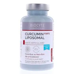 BIOCYTE Curcumin forte liposomal 90 gélules