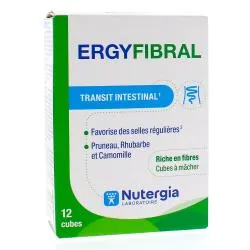 NUTERGIA Ergyfibral 12 cubes à mâcher