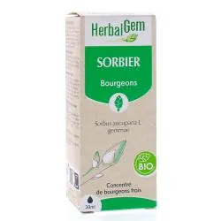 HERBALGEM Concentré du bourgeons frais - Sorbier bourgeons Bio 30ml